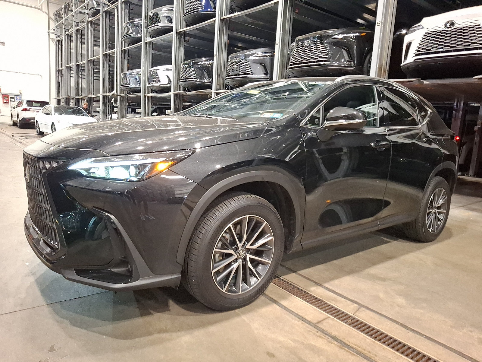 Certified 2024 Lexus NX 350h AWD image 2