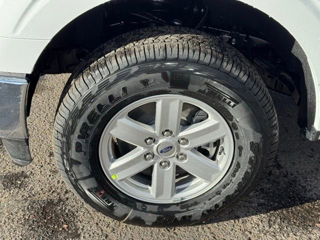 New 2026 Ford F150 XL w/ Equipment Group 103A High image 9