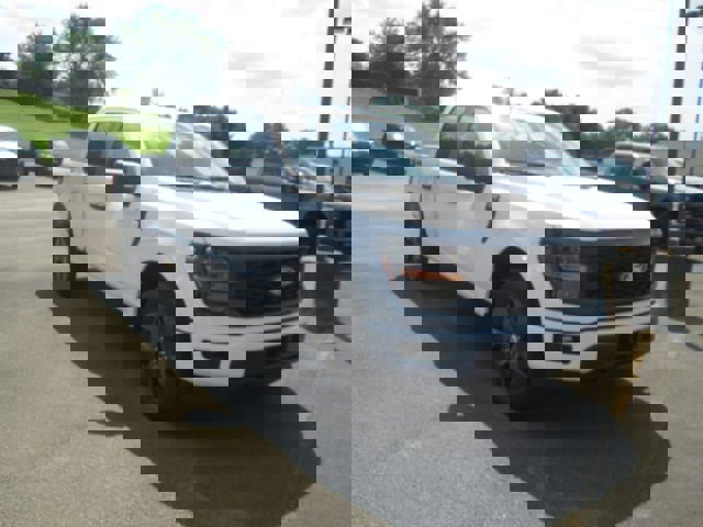 New 2025 Ford F150 STX w/ Equipment Group 200A image 2