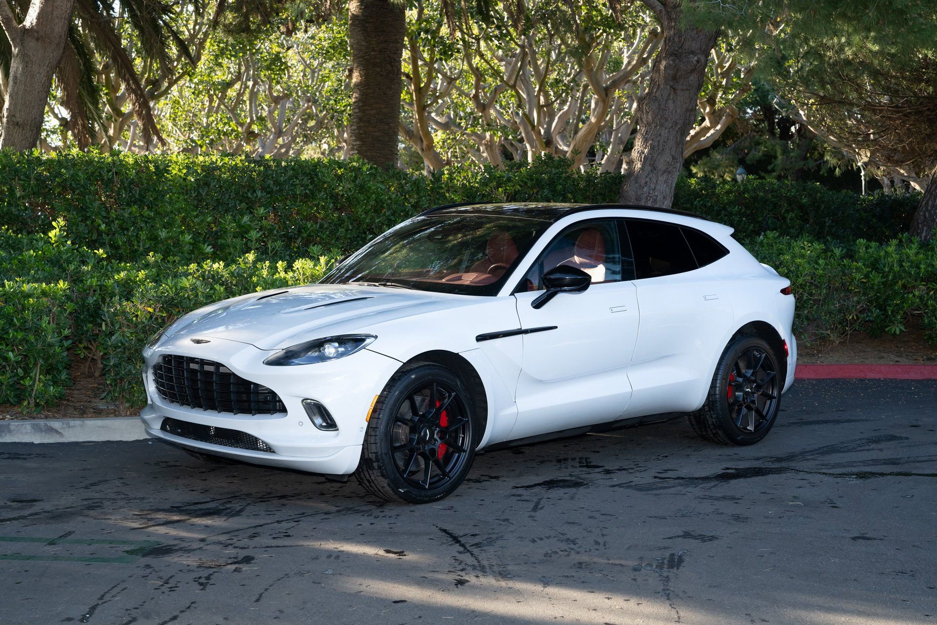 Used 2022 Aston Martin DBX image 25