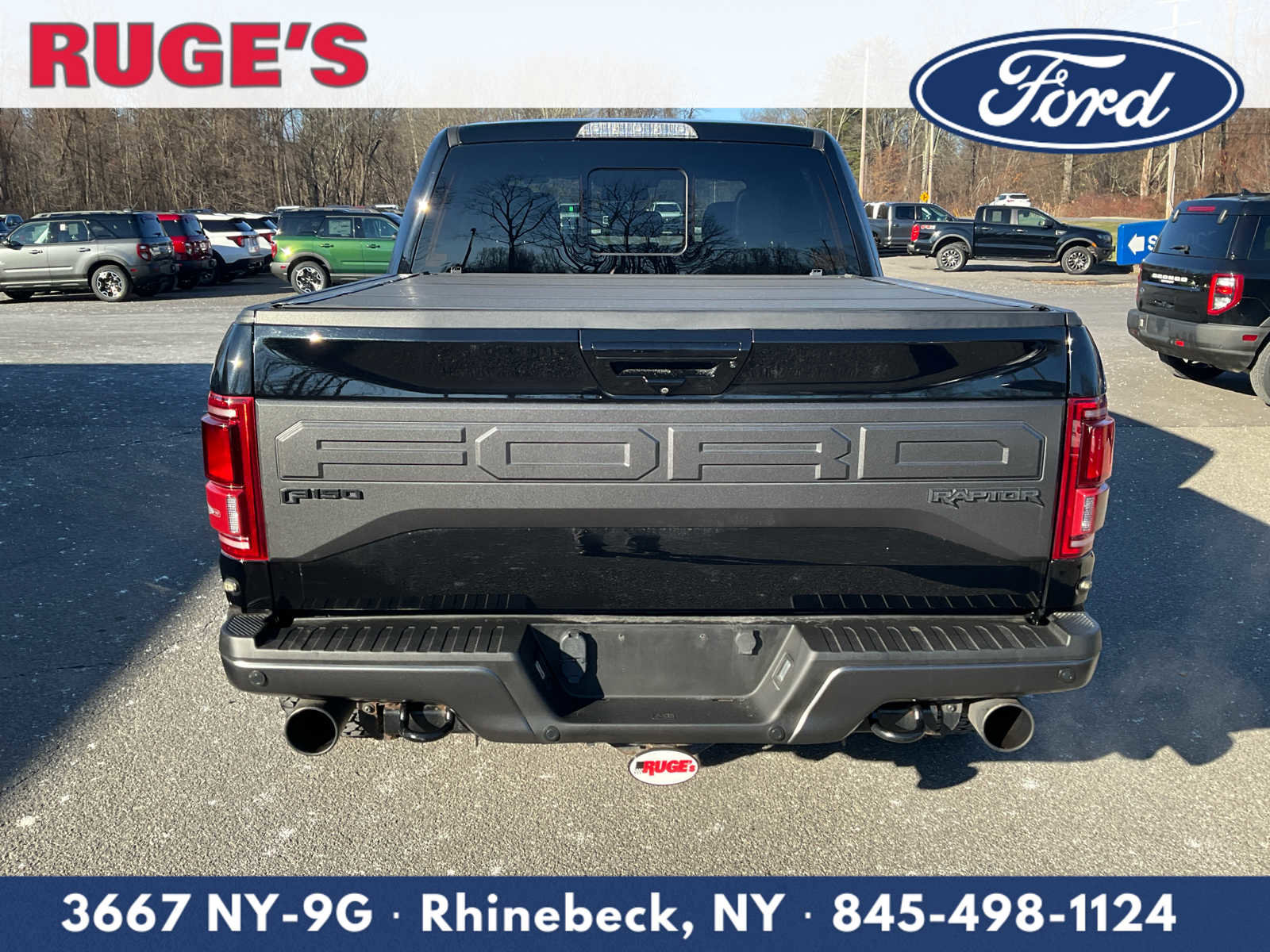 Used 2018 Ford F150 Raptor w/ Equipment Group 802A Luxury image 6