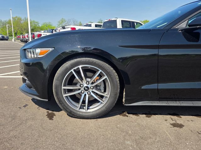 Used 2015 Ford Mustang Premium RWD image 18