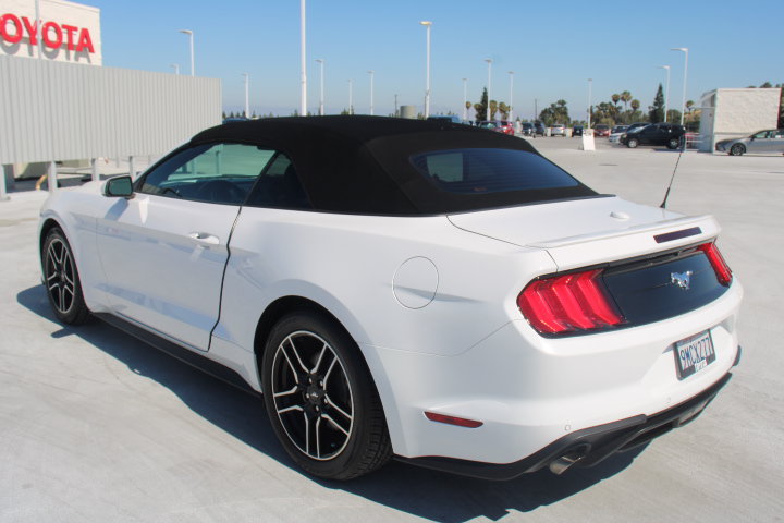 Used 2022 Ford Mustang Premium RWD image 5