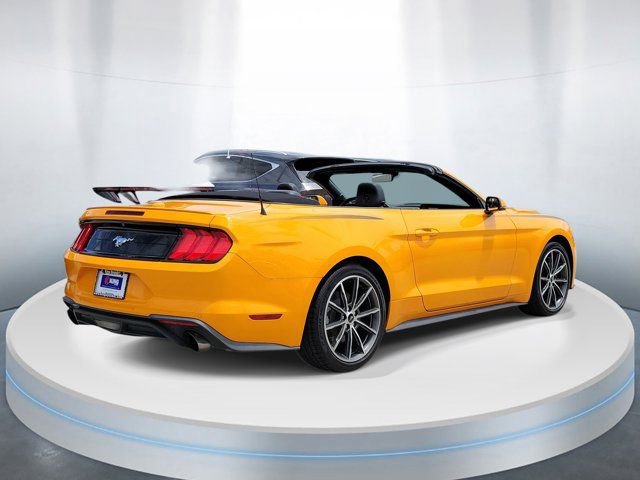 Used 2019 Ford Mustang Premium w/ Equipment Group 201A image 4