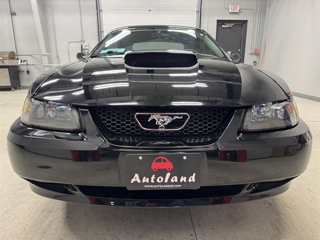 Used 2003 Ford Mustang GT image 2