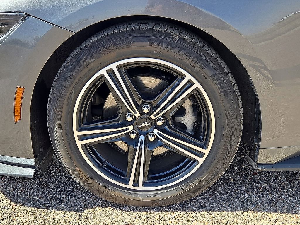 Used 2024 Ford Mustang EcoBoost image 12