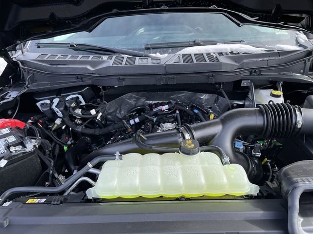 New 2026 Ford F150 STX w/ Equipment Group 200A image 11