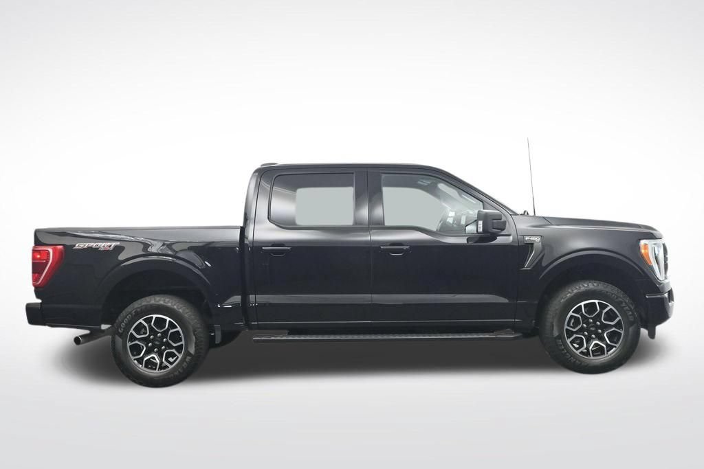 Used 2023 Ford F150 XLT w/ Equipment Group 302A High AWD/4WD image 4