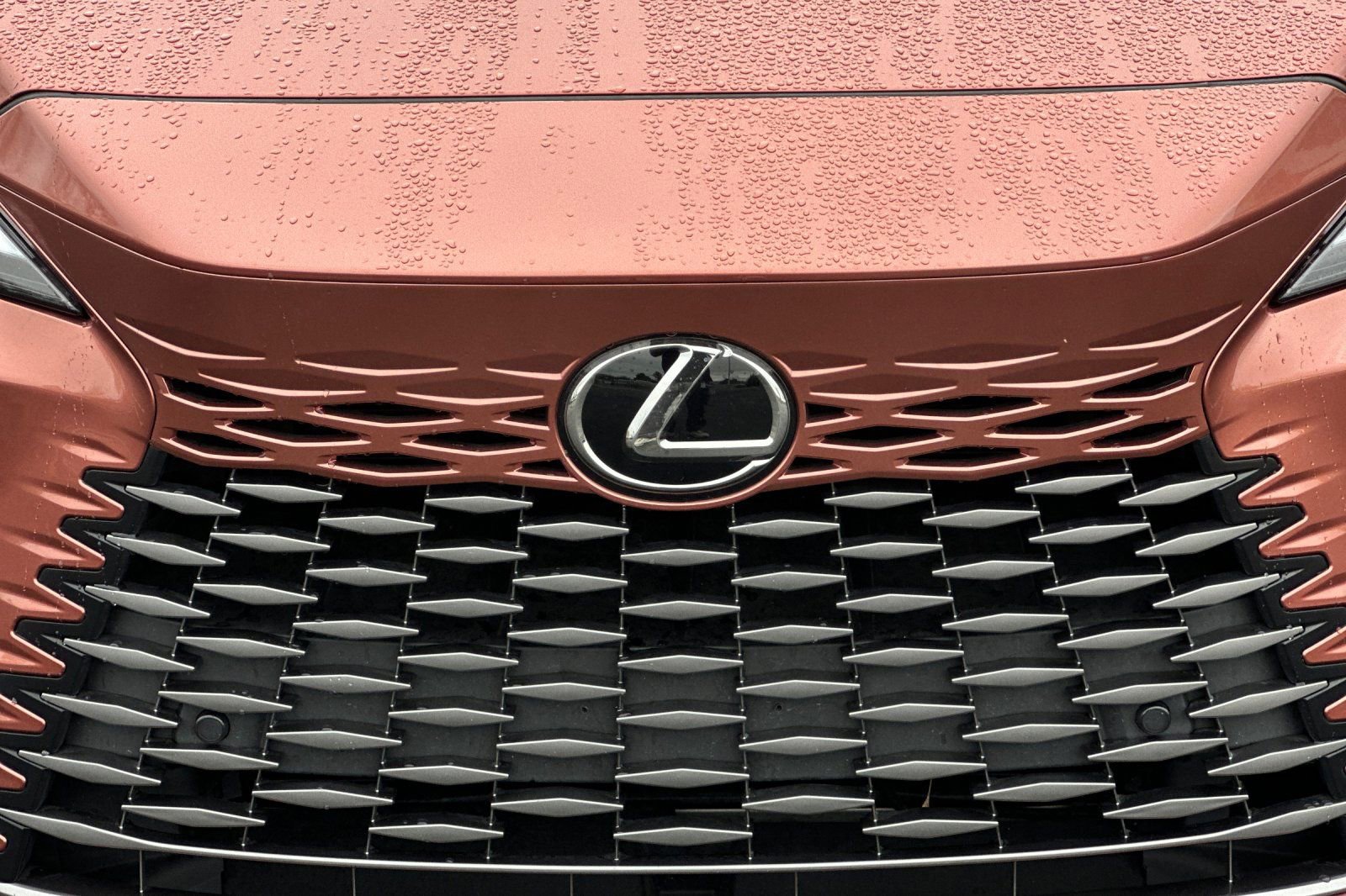 Used 2023 Lexus RX 350 w/ Cold Area Package image 48