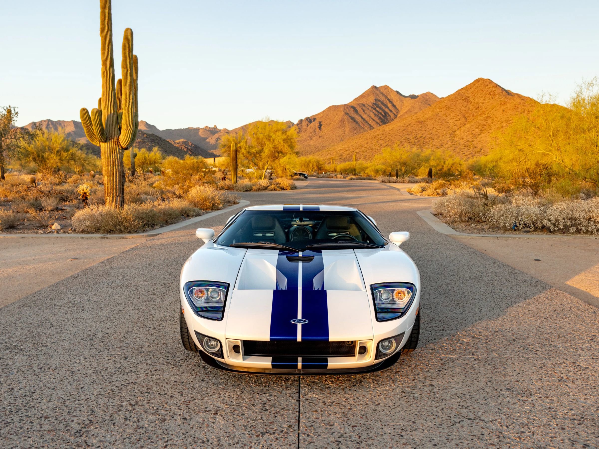Used 2005 Ford GT image 21