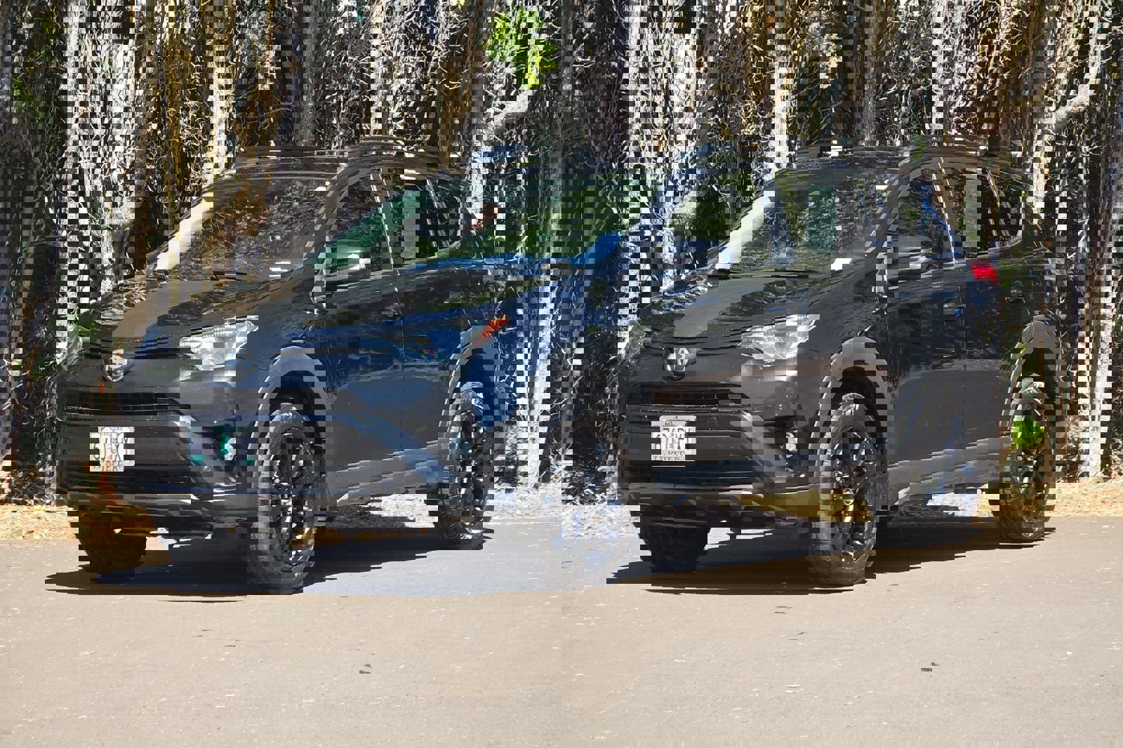 Used 2018 Toyota RAV4 Adventure image 8