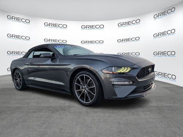 Certified 2019 Ford Mustang Premium w/ Equipment Group 201A image 1