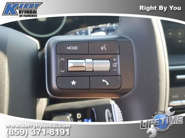 New 2026 Hyundai Palisade Calligraphy image 24