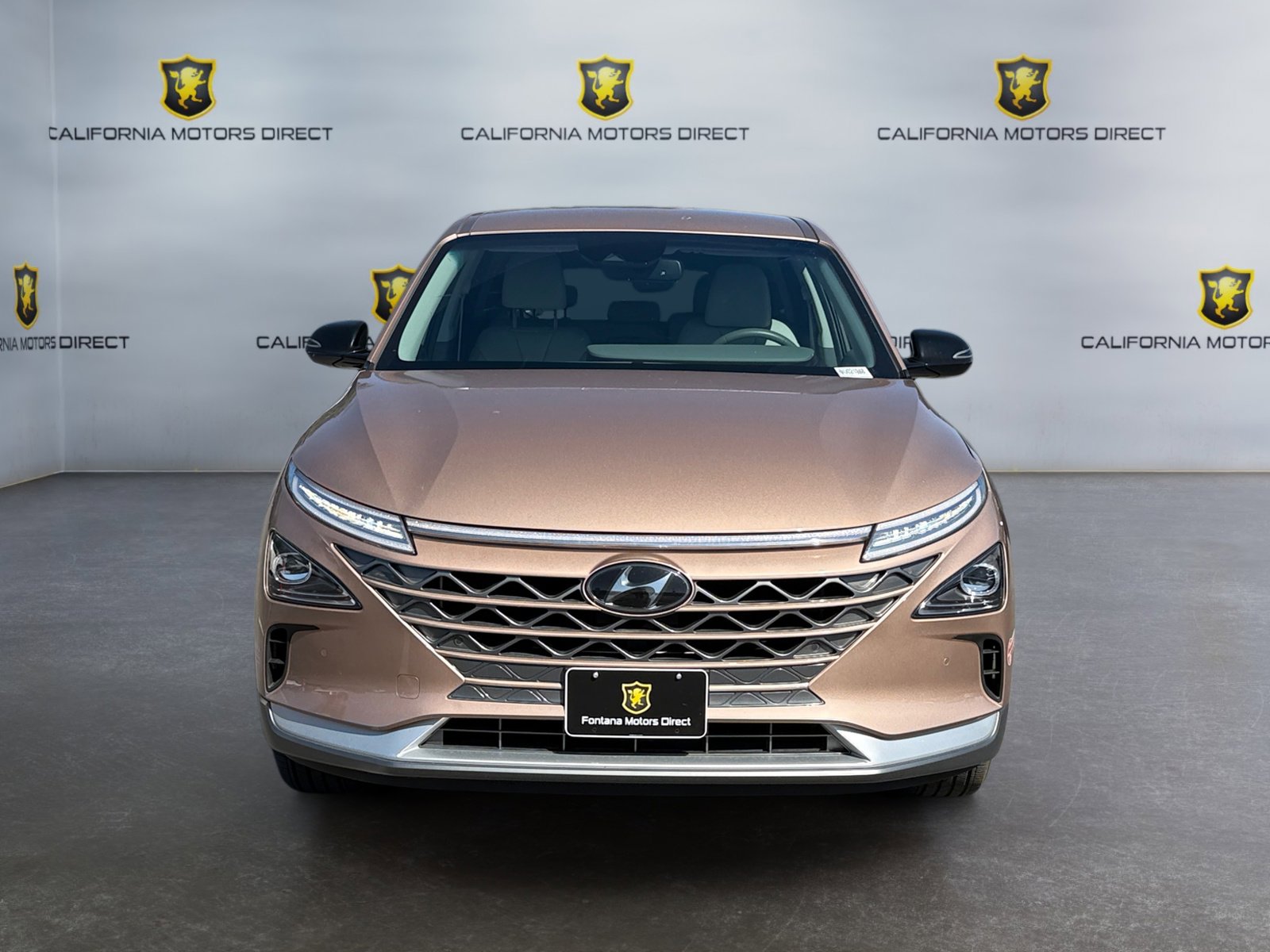 Used 2022 Hyundai Nexo Blue image 8