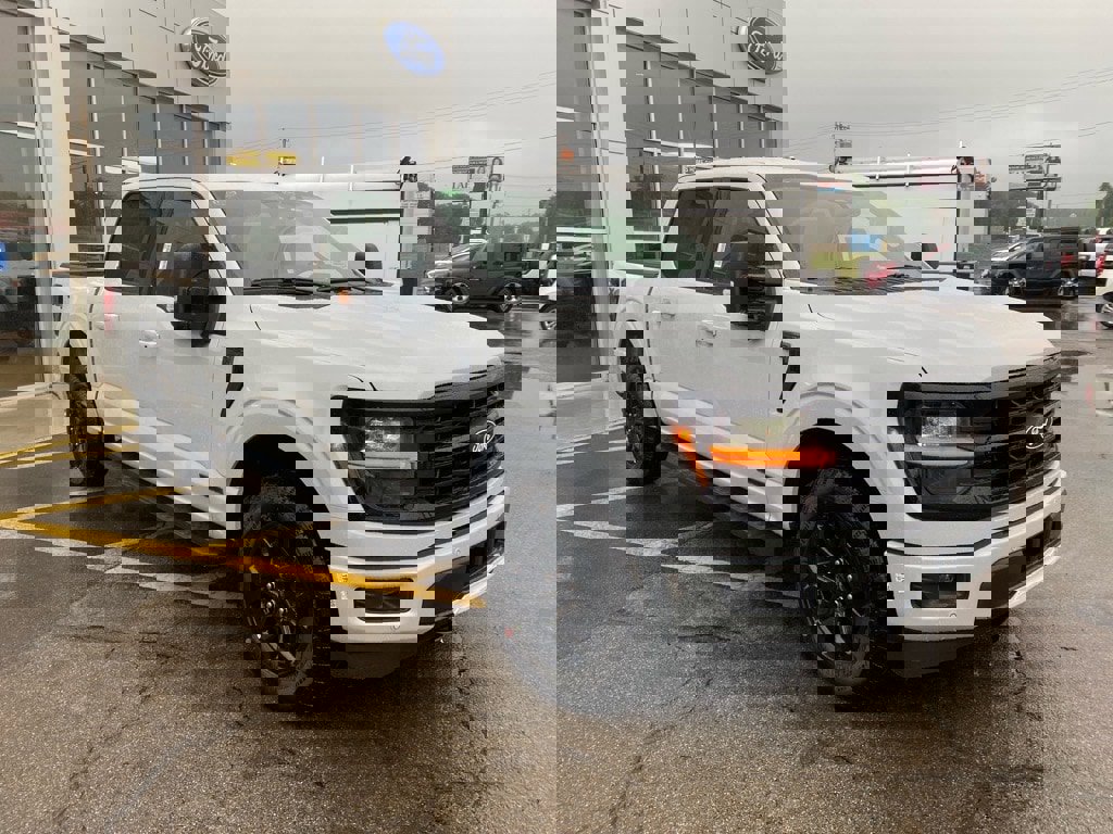 New 2025 Ford F150 XLT w/ Equipment Group 302A MID image 4