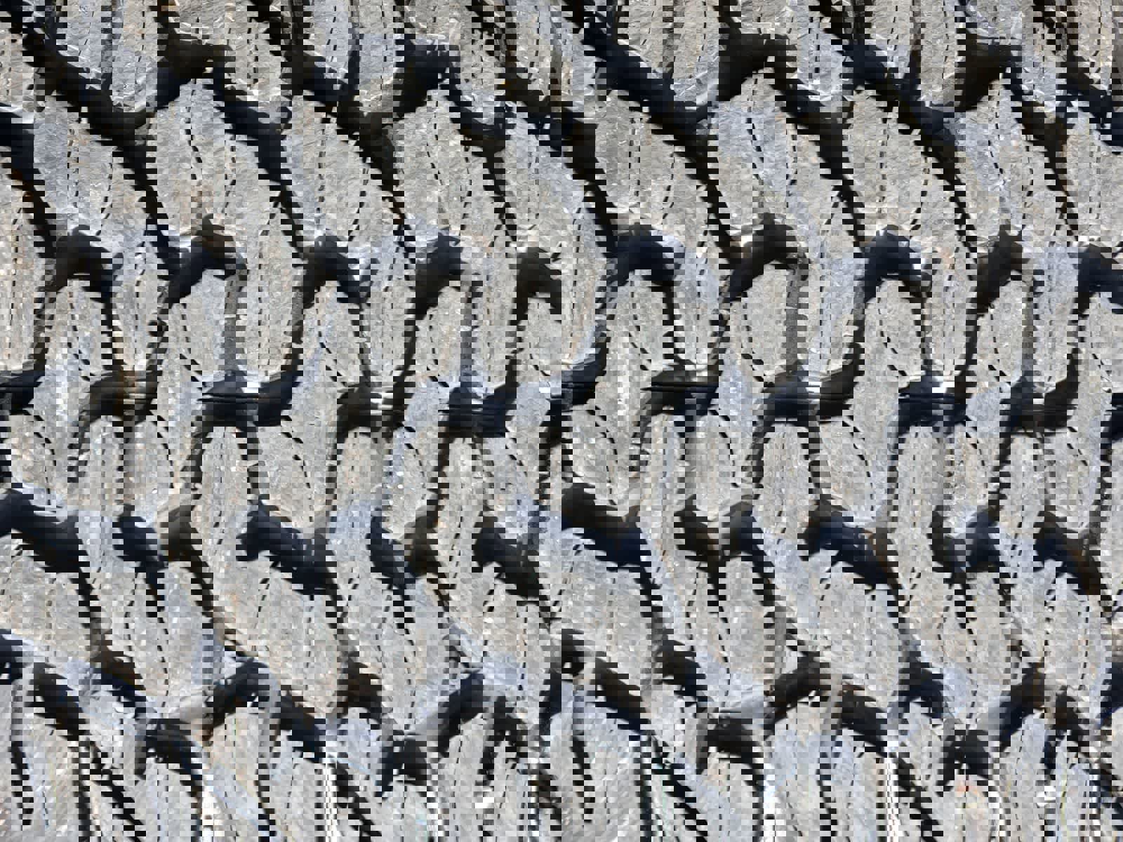 Used 2024 Ford Bronco Raptor image 11