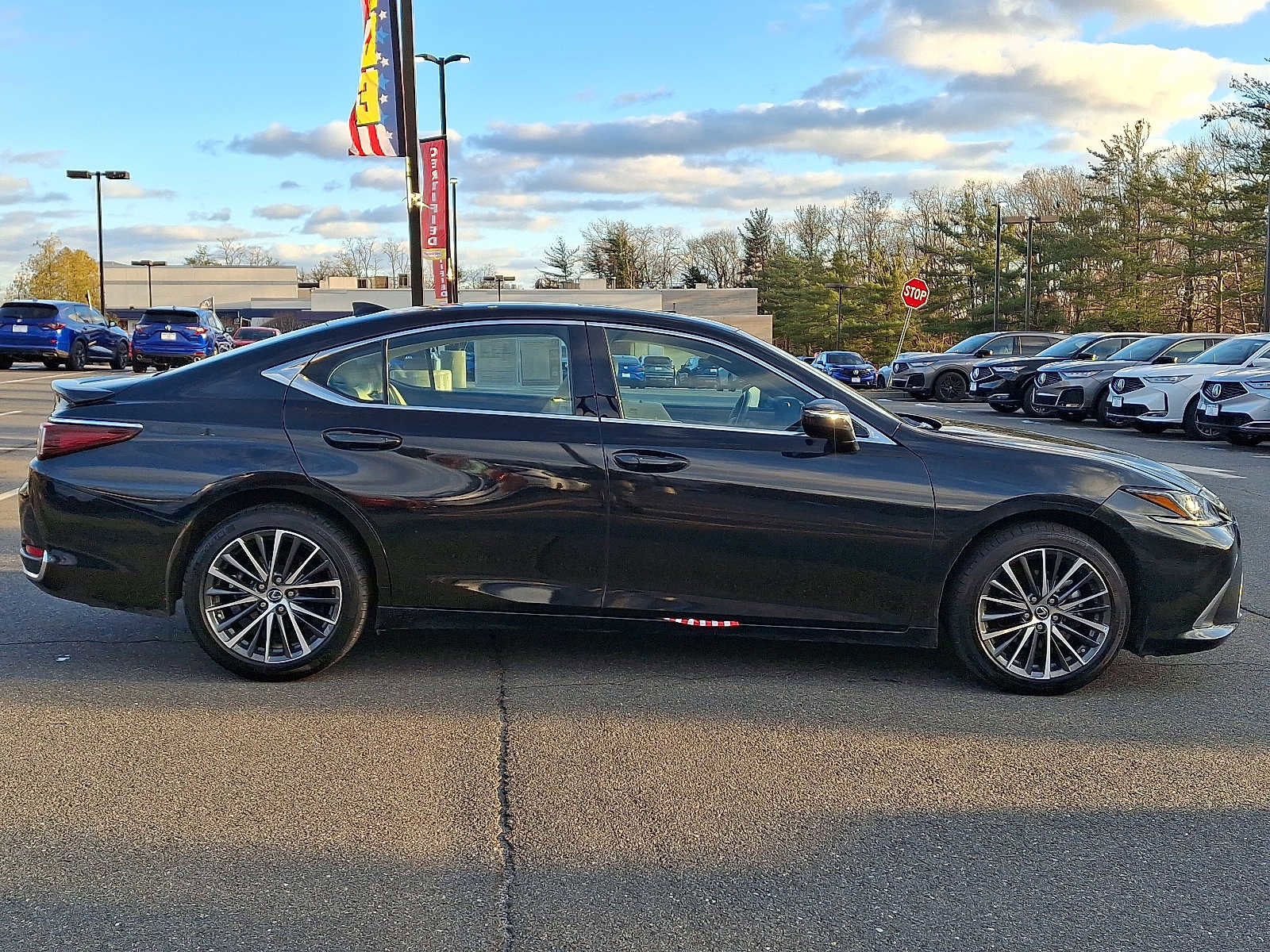 Used 2023 Lexus ES 250 w/ Premium Package image 7