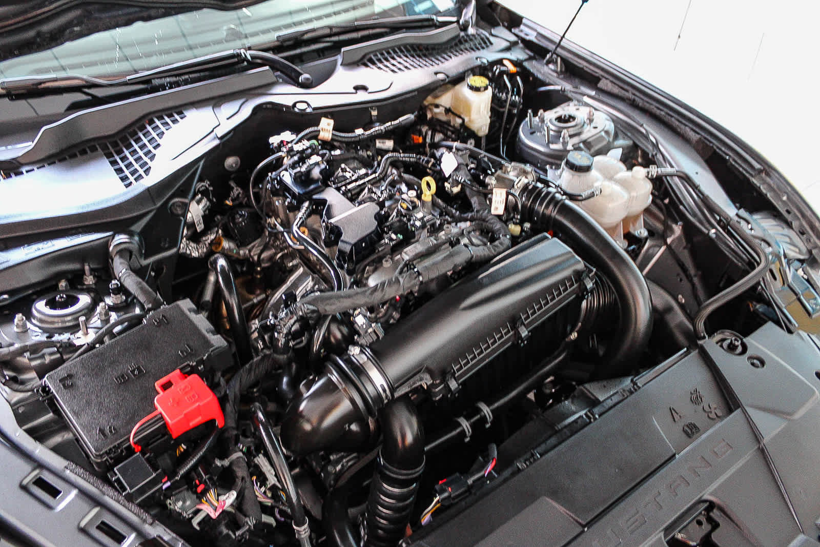 Used 2025 Ford Mustang Premium RWD image 26