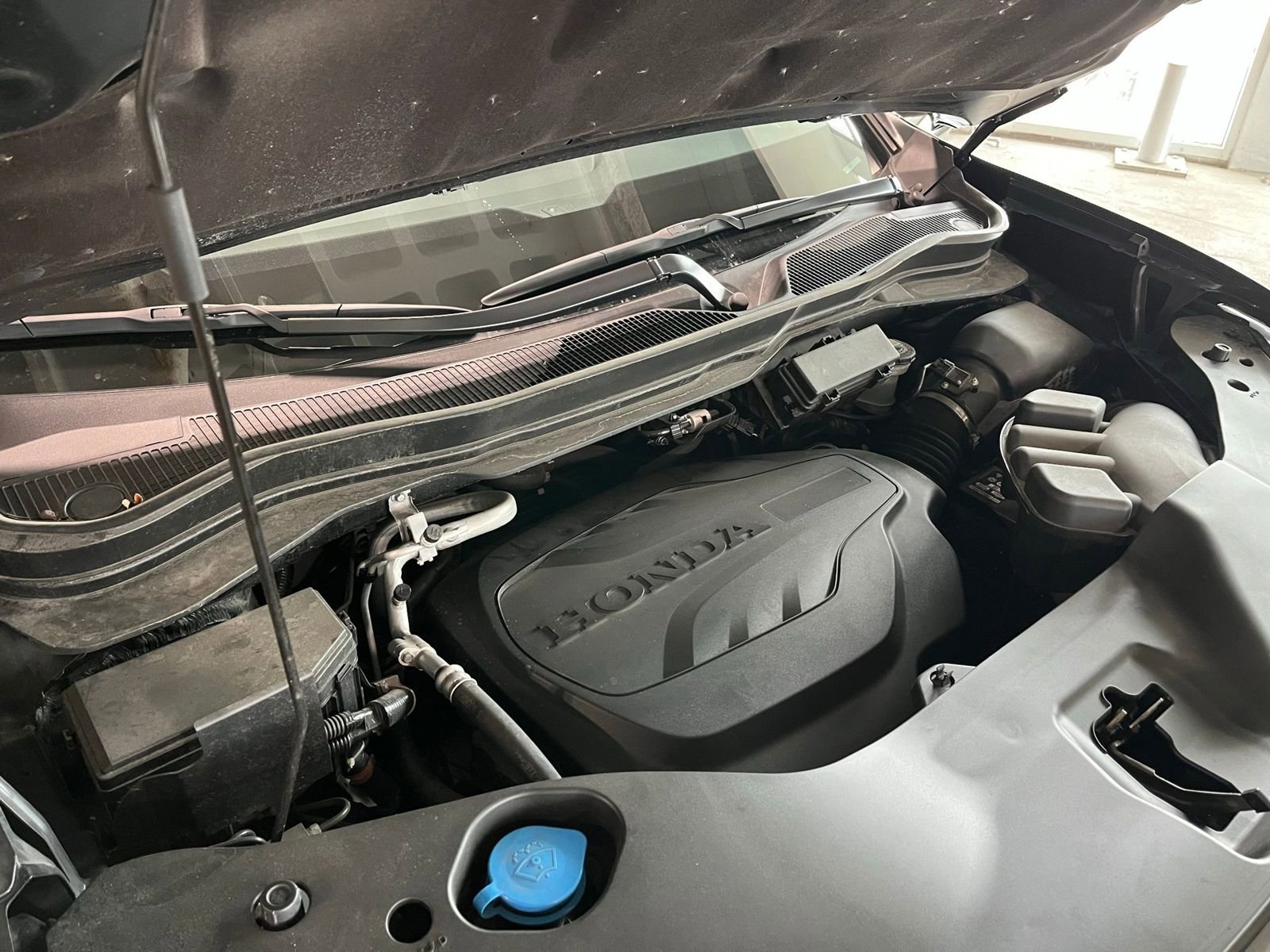 Used 2024 Honda Passport TrailSport image 15