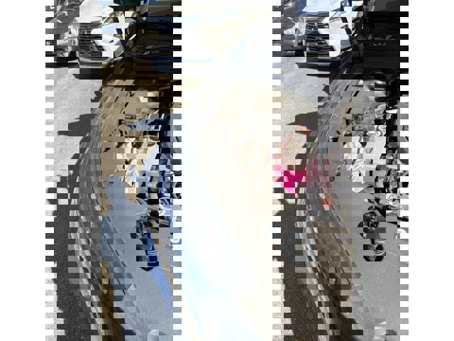 Used 2023 Lexus RX 350h w/ Accessory Package (Z1) image 6