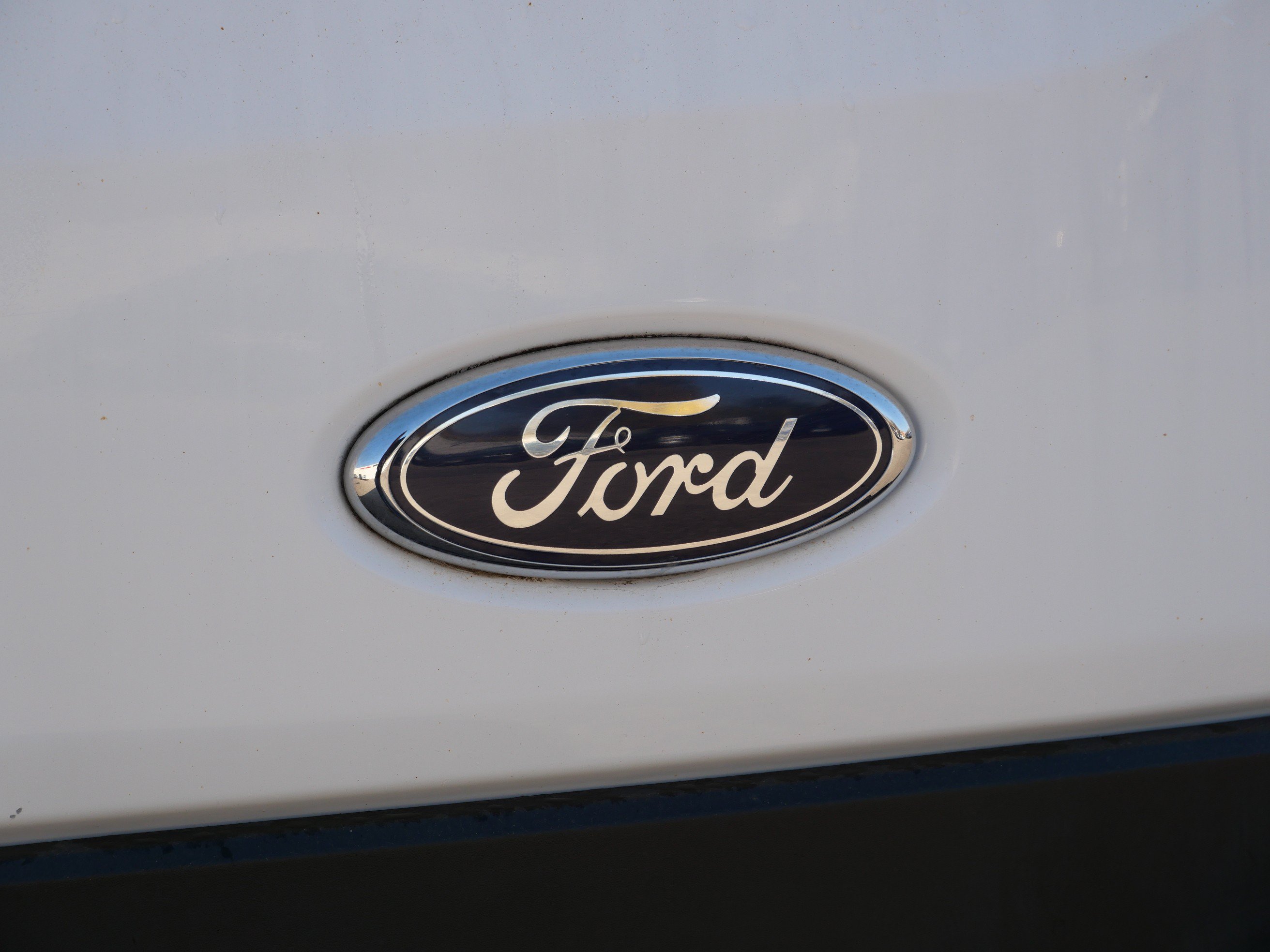Used 2019 Ford Transit 250 148 Medium Roof RWD image 5