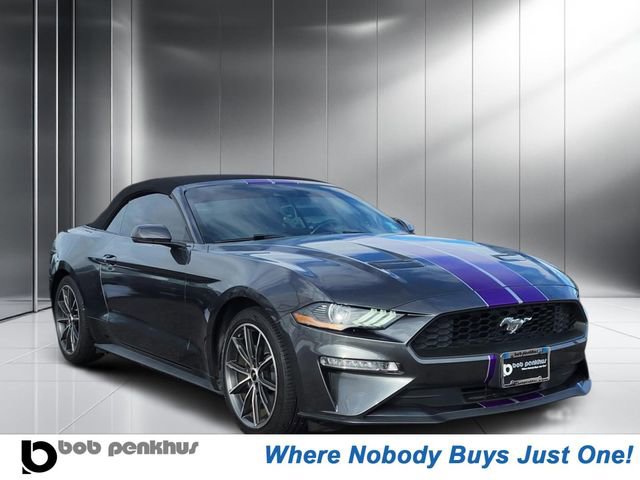 Used 2019 Ford Mustang Premium w/ Equipment Group 201A