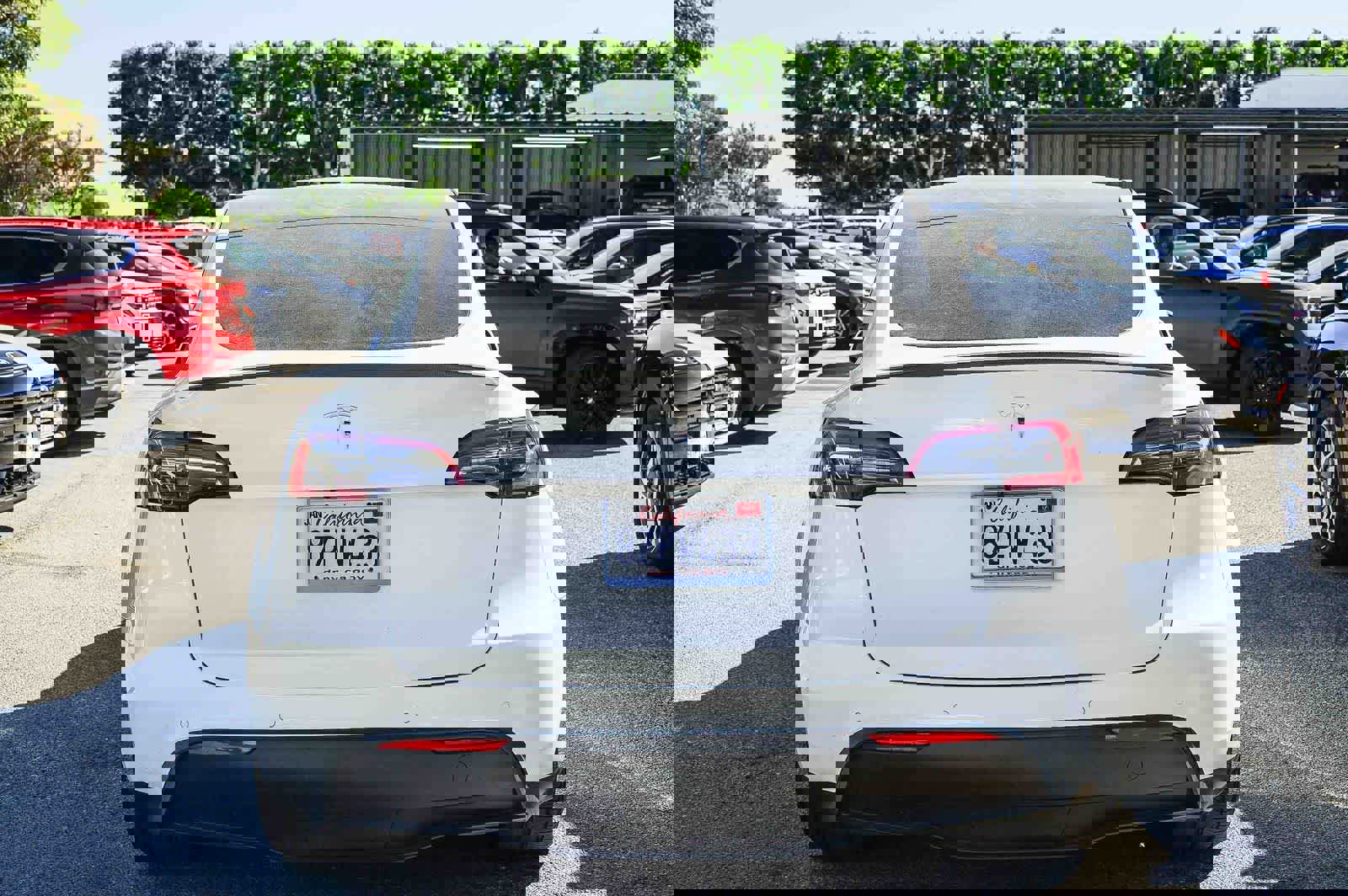 Used 2022 Tesla Model Y Performance image 3