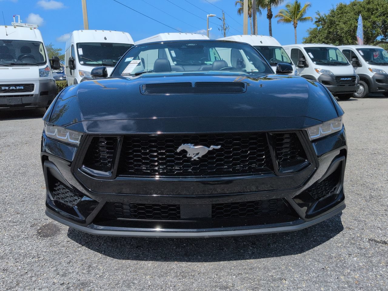 Used 2025 Ford Mustang GT Premium RWD image 3