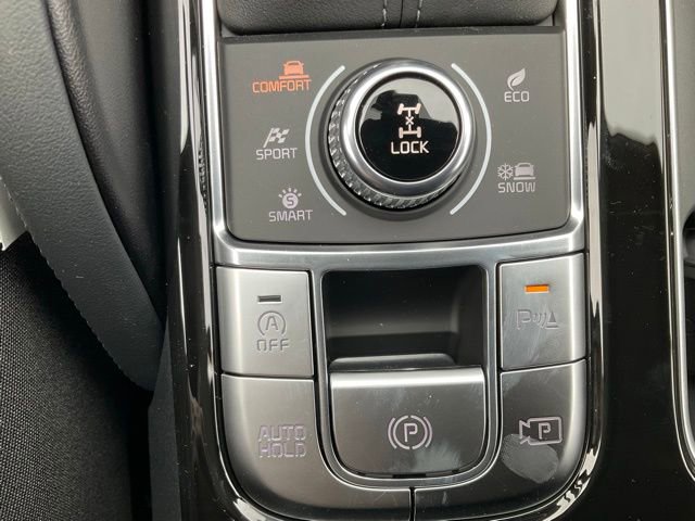 New 2025 Kia Telluride SX Prestige X-Line image 30