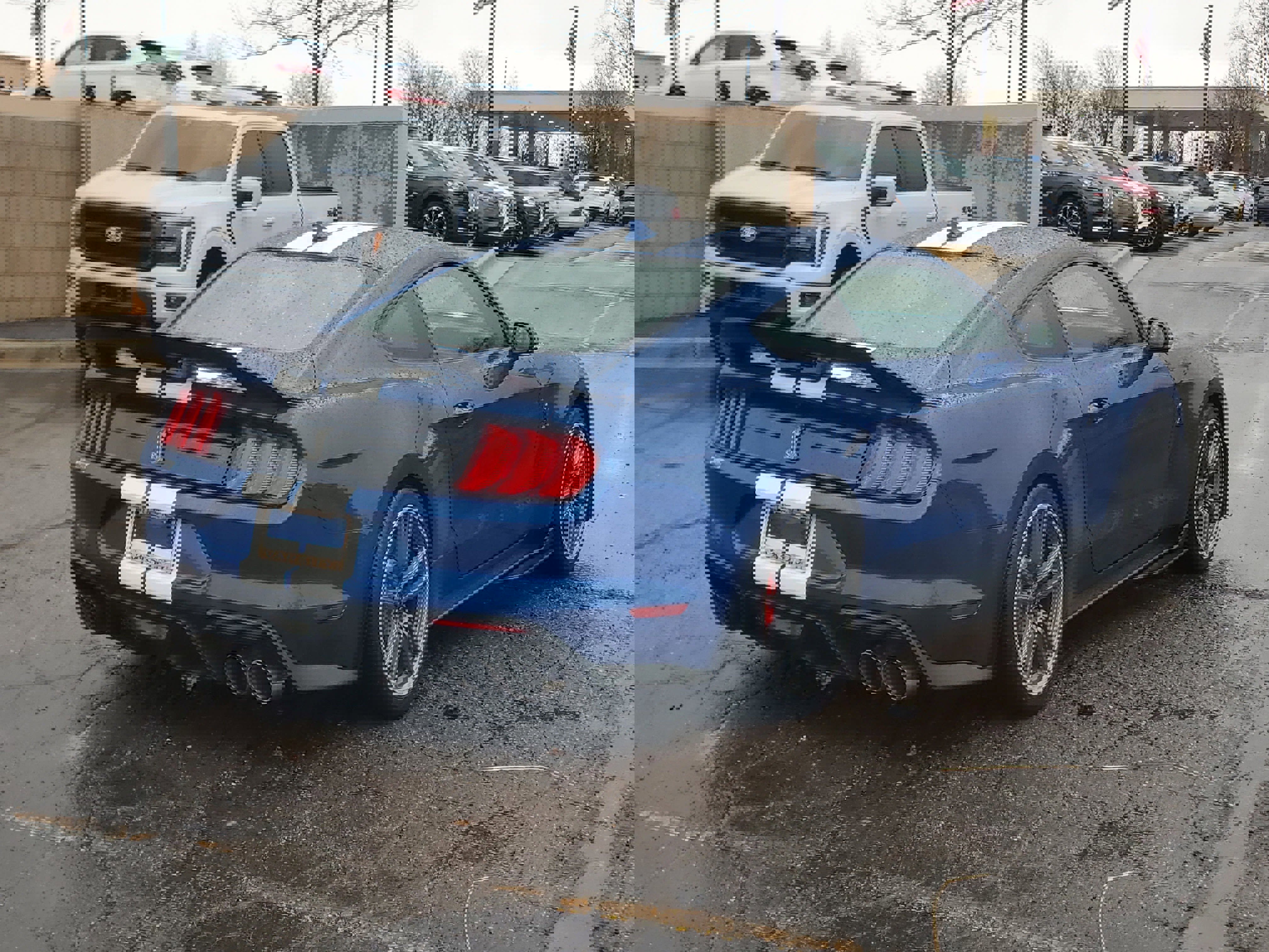 Used 2022 Ford Mustang Shelby GT500 w/ Technology Package RWD image 6