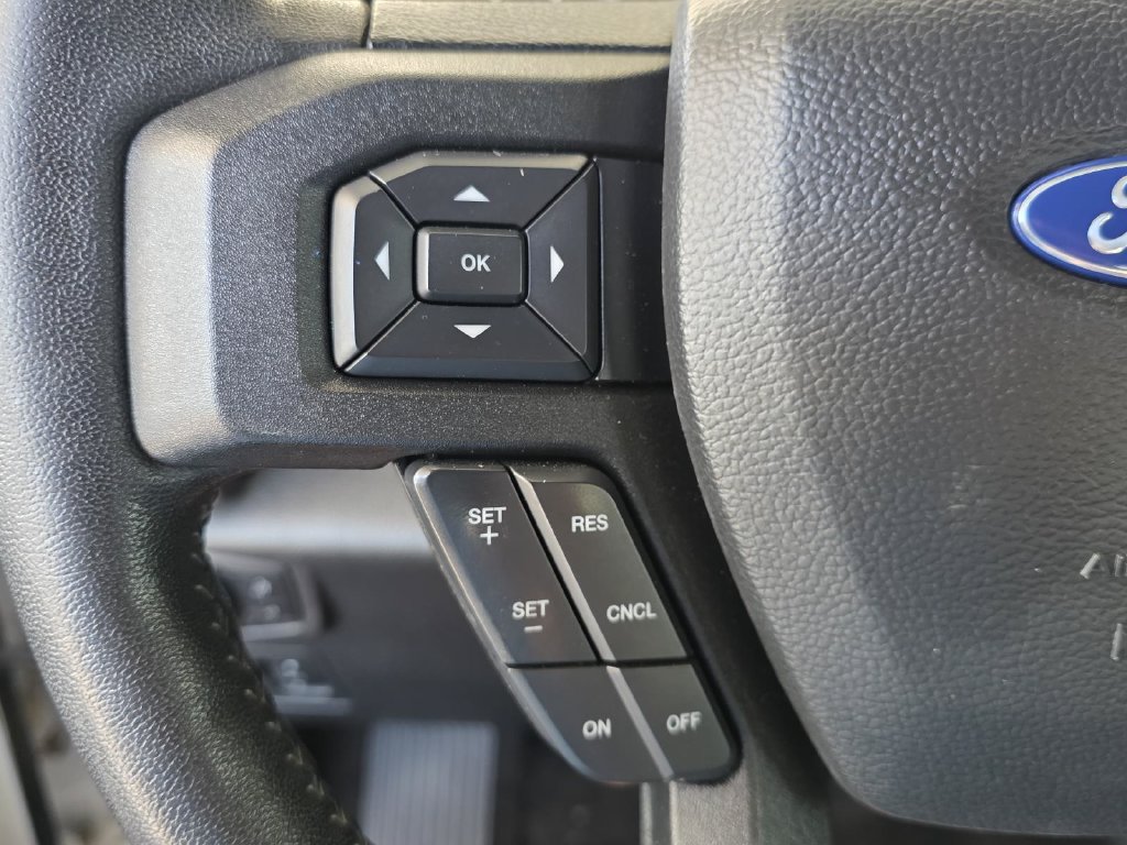 Used 2019 Ford F150 XLT w/ Equipment Group 302A Luxury AWD/4WD image 29