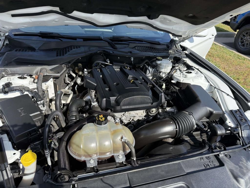 Used 2019 Ford Mustang Coupe RWD image 13
