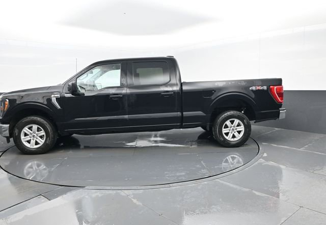 Used 2023 Ford F150 XLT w/ Equipment Group 301A Mid image 5
