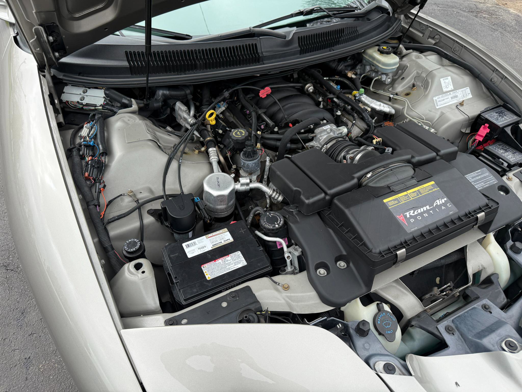 Used 1999 Pontiac Firebird Formula image 31