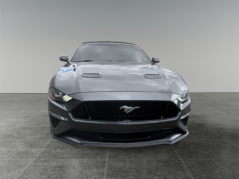 Used 2019 Ford Mustang GT Premium w/ Equipment Group 401A RWD image 9