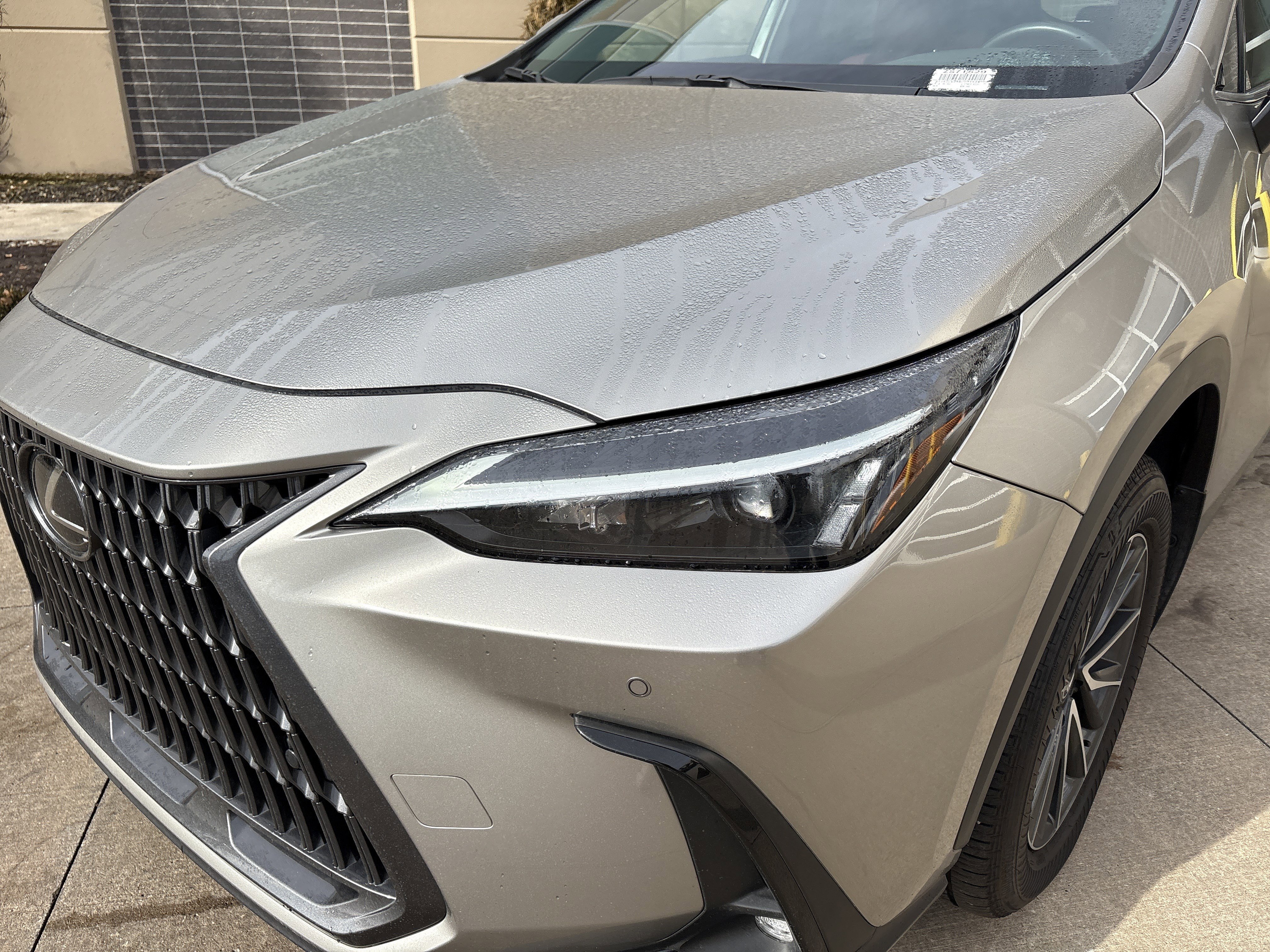 Certified 2025 Lexus NX 350 AWD image 6