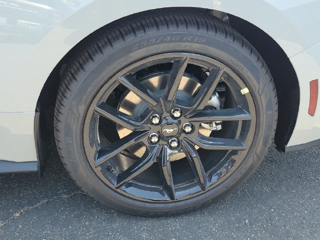 New 2026 Ford Mustang Premium w/ Mustang Nite Pony Package RWD image 6