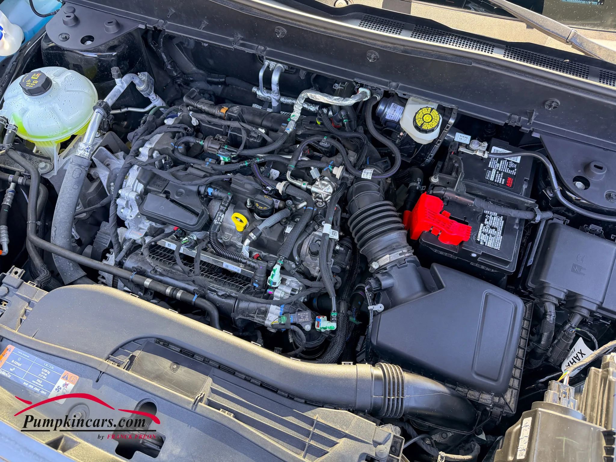 Used 2024 Ford Bronco Sport Big Bend w/ Convenience Package image 9