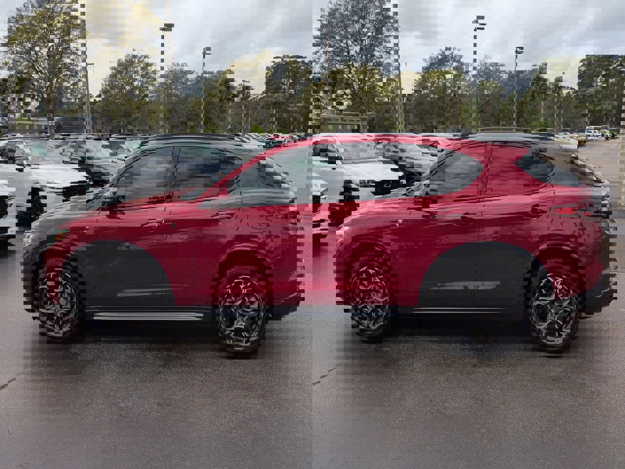 Used 2023 Alfa Romeo Stelvio Ti image 7