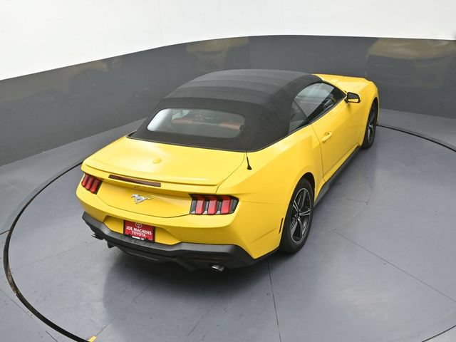 Used 2024 Ford Mustang Premium RWD image 19