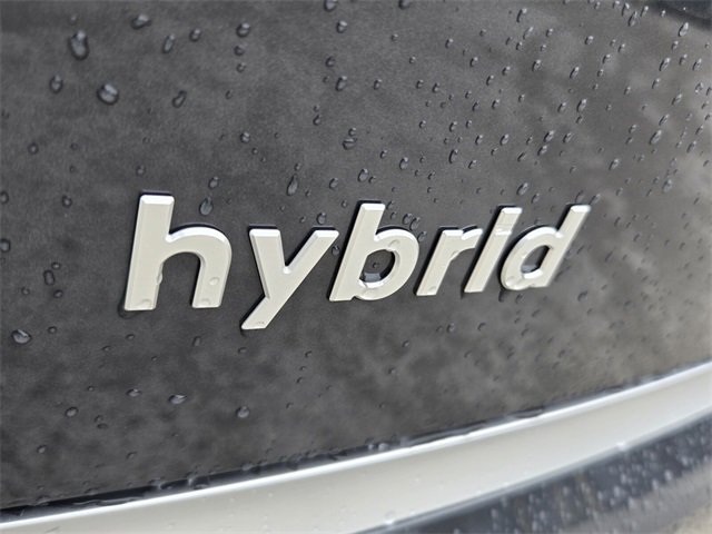 New 2026 Hyundai Palisade Calligraphy image 5