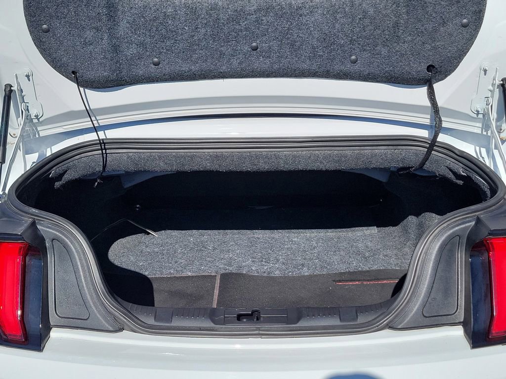 Used 2019 Ford Mustang GT Premium w/ Equipment Group 401A image 9