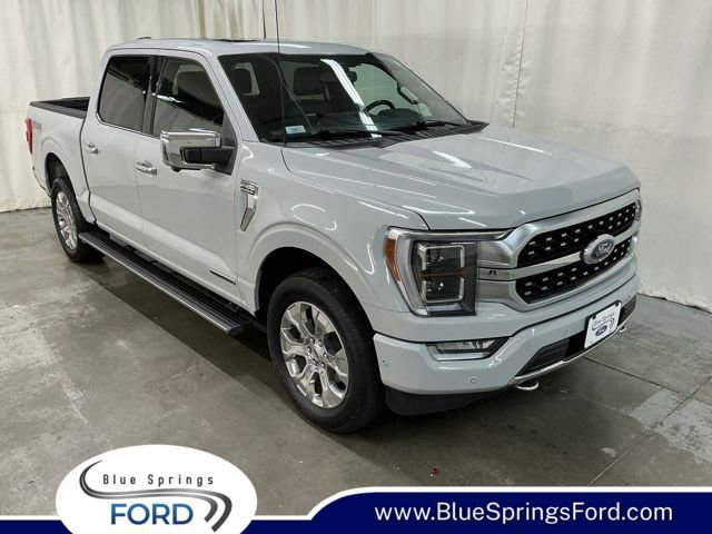Used 2023 Ford F150 Platinum w/ Equipment Group 701A High image 1