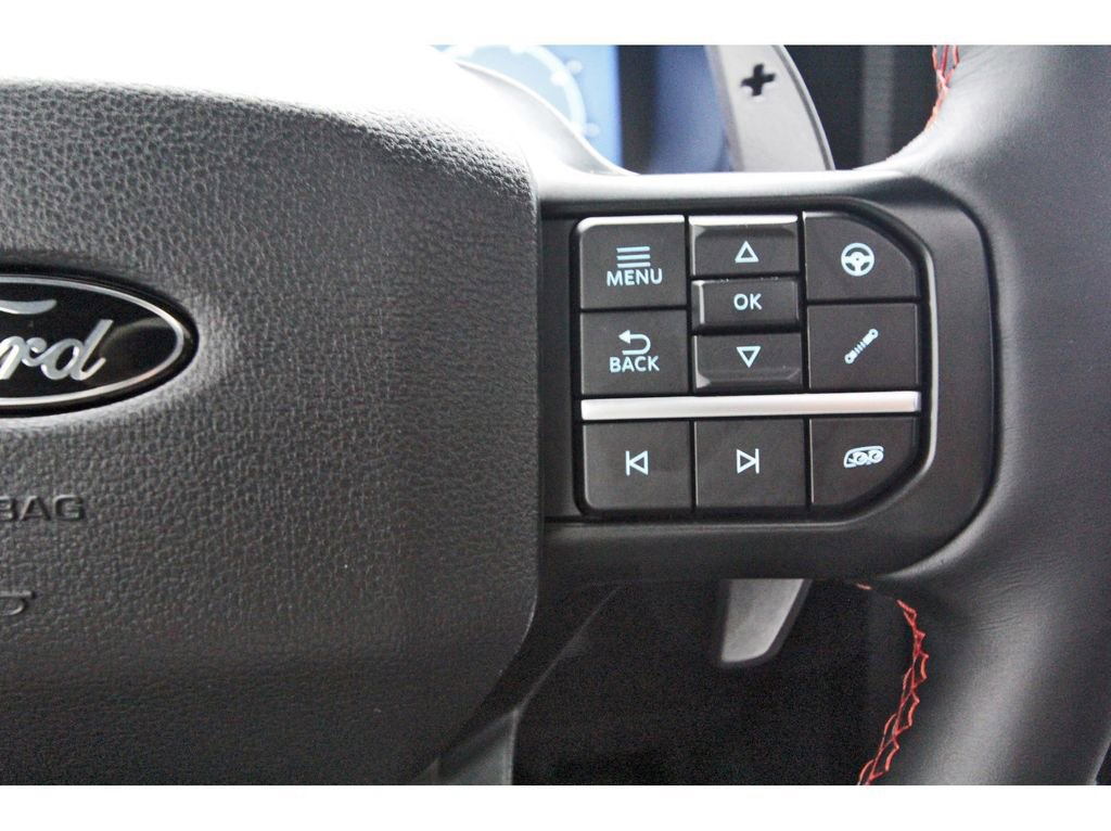 Used 2025 Ford F150 Raptor image 19