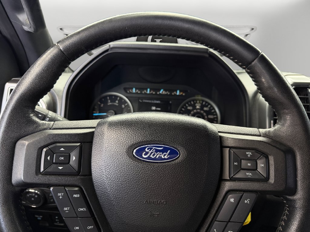 Used 2019 Ford F150 XLT w/ Equipment Group 302A Luxury AWD/4WD image 19