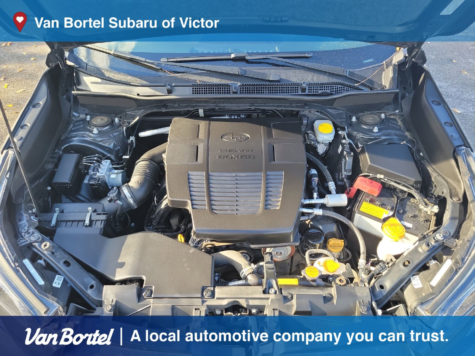 Certified 2023 Subaru Forester Wilderness AWD/4WD image 11