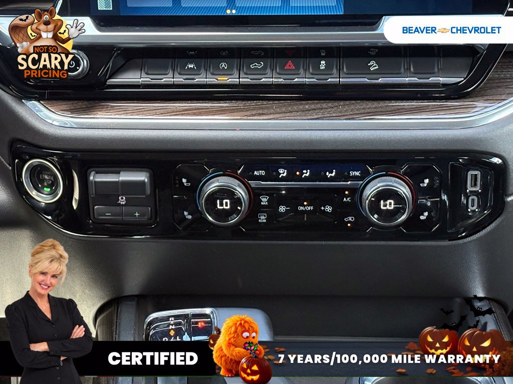 Used 2024 Chevrolet Silverado 1500 LT Trail Boss w/ Protection Package AWD/4WD image 21