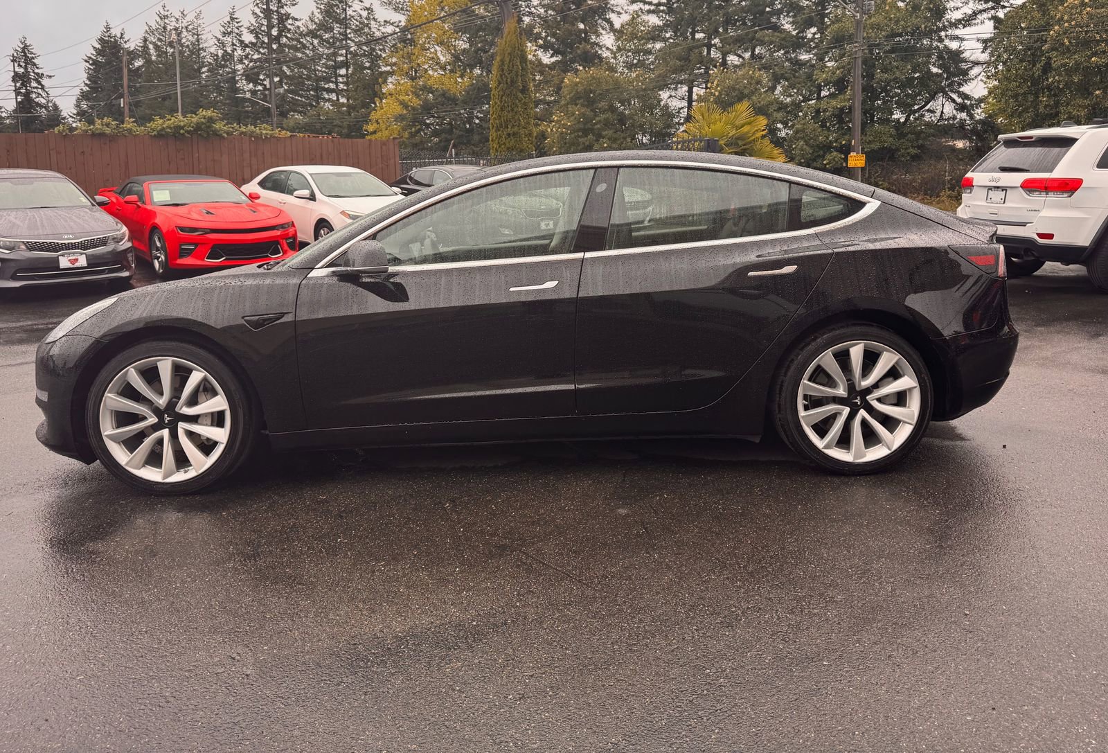 Used 2020 Tesla Model 3 Standard Range Plus RWD image 5