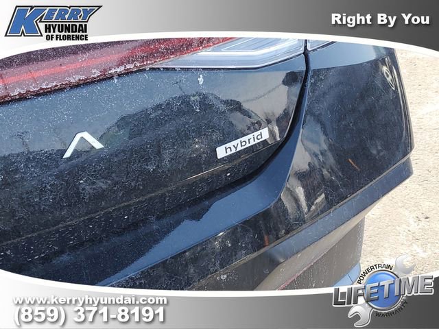 New 2026 Hyundai Elantra Limited w/ Cargo Package image 7