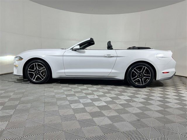 Used 2022 Ford Mustang Premium image 5